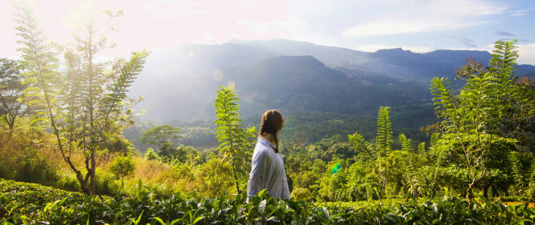 The best part about makeup is brush and its types